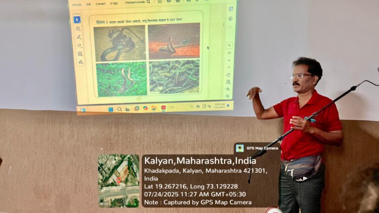 Snake Safety And Awareness